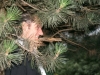 post_mk_platzkonzert_2011_006